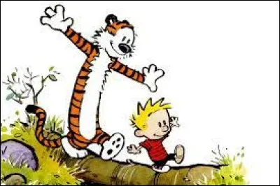 Dans quelle bande dessinée suit-on les aventures de ce tigre en peluche sarcastique accompagné d'un jeune garçon ?