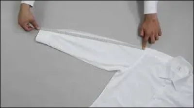 Quelle lettre faut-il remplacer pour obtenir un mode de locomotion naturel ?