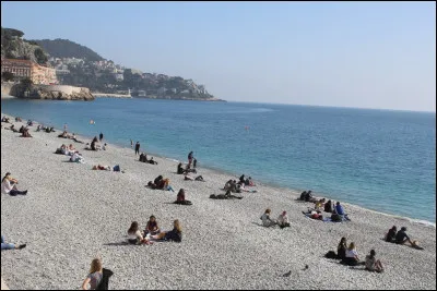 Quelle lettre faut-il ajouter pour obtenir les poils recouvrant le corps d'un animal ?