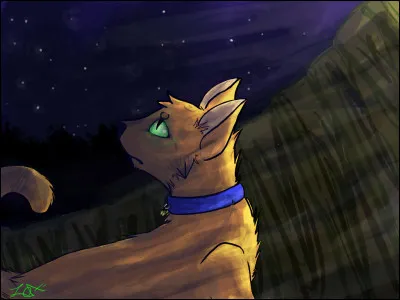 Avec qui le compagnon d'Ombre d'&Eacute;rable l'a-t-il tromp&eacute;e ?