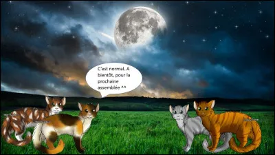 Quel chat pr&eacute;f&egrave;res-tu ?