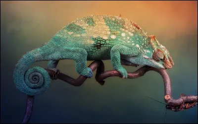 En quelle année a été créé le site dans lequel nous sommes ?