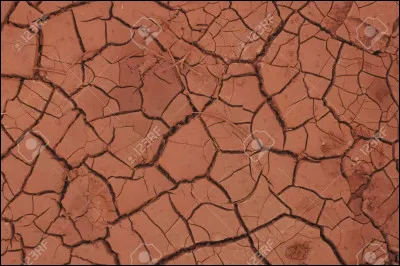 Comment décrire Argil ?