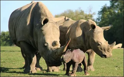 De quelle ville, le parc zoologique de Cerza est-il le plus proche ?