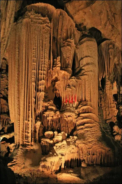 Pourquoi la grotte Chauvet en Ardèche est-elle connue ?