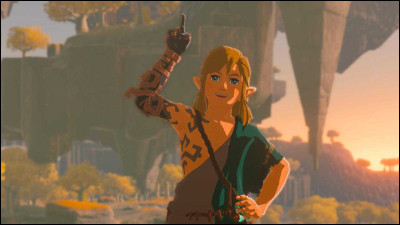 Hello ! Je vous conseille de finir le jeu avant de faire ce quiz car il y aura des évènements qui se passent à la fin du jeu.Qu'est-il arrivé au bras droit de Link ?