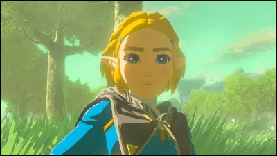 Qu'est-il arrivé à Zelda ?