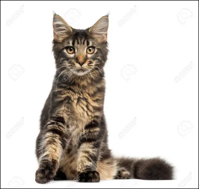 Quels mois préfères-tu ?