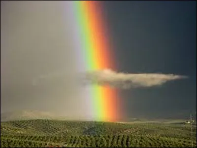 Quelle actrice accompagne Morgan Freeman, John Malkovich et Bruce Willis dans la série de films intitulée "Red" ?