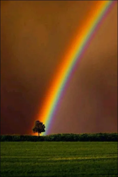 Quelle actrice est à l'affiche du film "Black Swan" ?