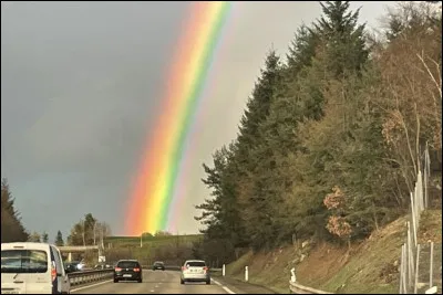 Qui est le réalisateur du long-métrage "Jackie Brown" ?