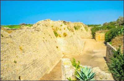 Peu de temps après cette victoire, le sultan mamelouk d'Égypte, Qutuz, se fit tuer et fut remplacé par son général Baybars, sans doute impliqué dans son assassinat.
Baybars reprit les hostilités avec les croisés et conquit plusieurs de leurs grandes villes dont...