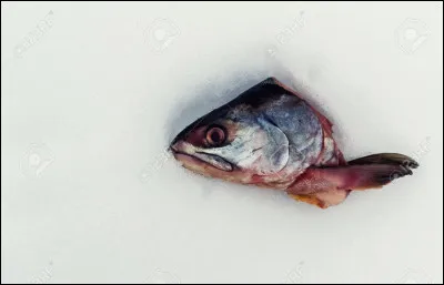 Pourquoi fait-on passer une tête de poisson autour de la table ?