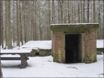 En quelle année le massacre de Litene par les forces soviétiques eut-il lieu ?