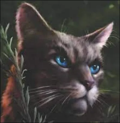 Qu'est-ce que Pelage de Granit lui a fait ?