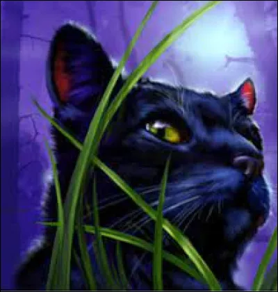 Par conséquent, qui est son demi-frère ?