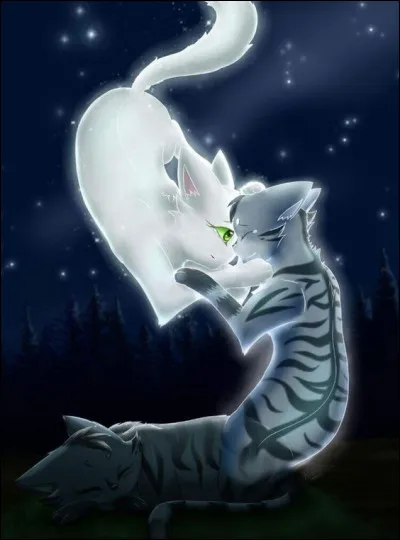 Qui est sa compagne ?