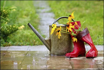 En Nouvelle-Ecosse, il est illégal d'arroser sa pelouse quand il pleut !