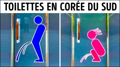 En Corée du Sud, les agents de la circulation sont tenus de déclarer toutes les insultes qu'ils reçoivent des automobilistes !