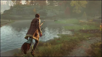 Quel est ce jeu vidéo ?