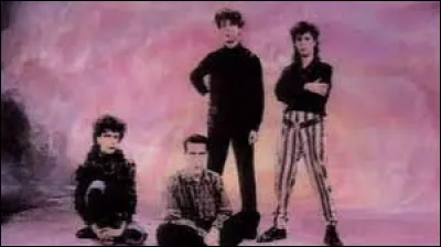 En 1985, dans quelle chanson prend-il la main d'une fille au masculin et d'un garçon au féminin ?