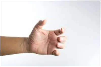 Combien de muscles compte la main ?