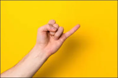 Quel doigt de la main tire son nom du fait qu'il peut aller dans l'oreille ?