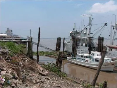 Le Golfe de Guayaquil en Equateur est connu pour ses nombreuses fermes d'aquaculture d'un certain crustac. Lequel ?