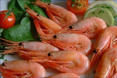 Combien la crevette a-t-elle de pattes ?