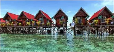 À partir 2024, sur quelle île d'Indonésie sera transférée la capitale du pays ?