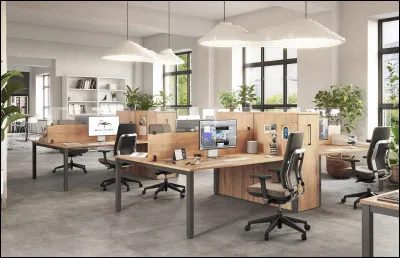 Comment appelle-t-on dans le milieu professionnel, un espace où les bureaux sont installés sur un plateau unique et ne sont pas séparés par des cloisons ?