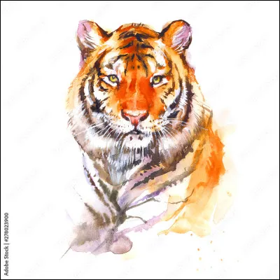 Quels animaux trouve-t-on au Bangladesh ?