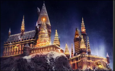 Qu'est-ce que les Dursley envoient à Harry pour Noël ? (chapitre 12)