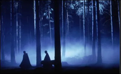 Lors de la retenue de Harry, Hermione, Neville et Malefoy dans la forêt interdite, ils se séparent en 2 groupes. Quels sont ces groupes ?
(chapitre 15)