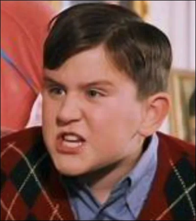 Combien de cadeaux Dudley reçoit-il pour son anniversaire ? (chapitre 2)