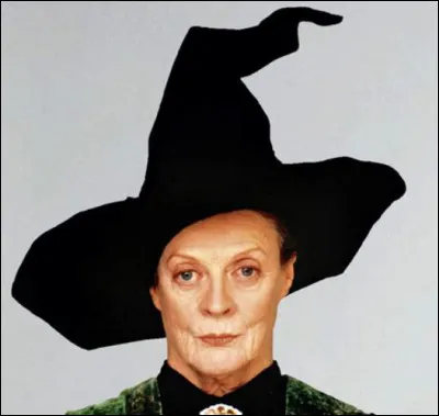 Que fait McGonagall à son premier cours comme démonstration pour ses élèves ? (chapitre 8)