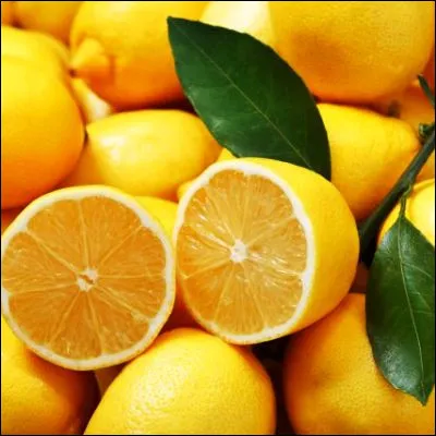 Quel est le fruit de larbre dont le nom scientifique est Citrus maxima ?