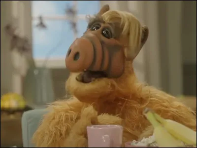 Que rêve de déguster Alf dans la série éponyme ?