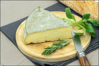 Saint-Nectaire est un fromage A.O.P d'Auvergne au lait de vache.