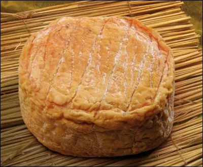 Saint-Winoc est un fromage du Pas-de-Calais au lait cru de vache et à la croûte lavée avec de la bière.