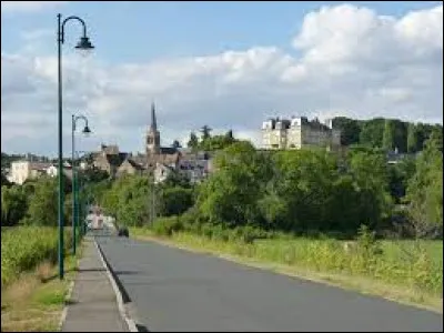 Ville de l'aire d'attraction Mancelle, Montfort-le-Gesnois se situe dans le département ...
