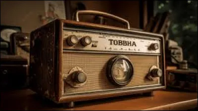 Quel chanteur britannique a interprété "Radio" en 2004 ?