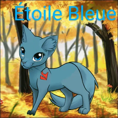 On va dire que tu as eu le mentor que tu voulais. &Agrave; ta premi&egrave;re sortie de chasse, tu aper&ccedil;ois une souris... tu lui sautes dessus mais tu as fait du bruit et elle s'enfuit. Comment r&eacute;agis-tu ?