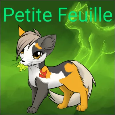 Tu assistes &agrave; ta premi&egrave;re assembl&eacute;e en tant que guerrier/guerri&egrave;re !