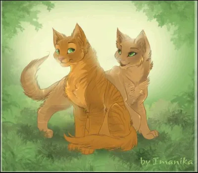 Il/elle dit s'appeler Tornade d'Argent. Il/elle te propose de vous donner rendez-vous à la frontière entre vos deux clans, que dis-tu ?