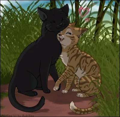 On va dire que tu refuses (désolé pour ceux qui voulaient y aller) et tu commences à penser plus sérieusement à tes devoirs de lieutenant... Et à trouver un(e) compagnon/compagne... 
Avec qui vis-tu le grand amour ?