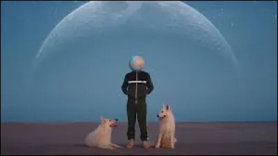 Quel chanteur interprète la chanson ''La Fièvre'' dans lequel Michel Drucker fait une apparition dans le clip ?