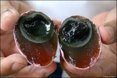 Dans quel pays déguste-t-on des ufs de cent ans ?