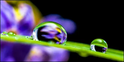 C'est l'enfance de l'Aar !