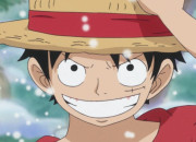 Quiz Trouve les noms de famille dans ''One Piece''